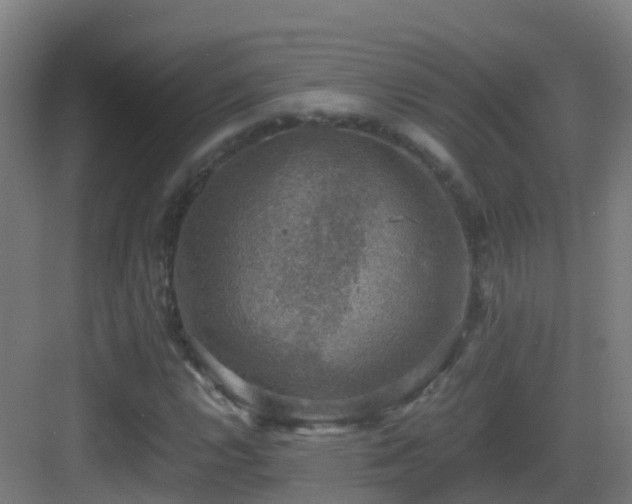 X0000083561112200702091117