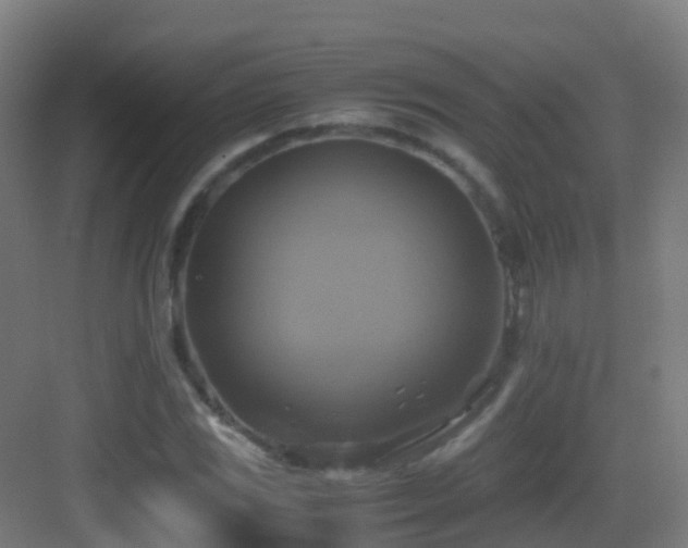 X0000083561117200702091117