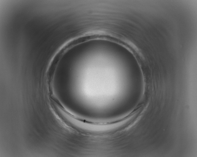 X0000083561118200702091117