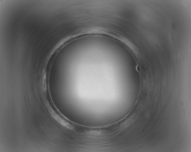 X0000083561126200702091117
