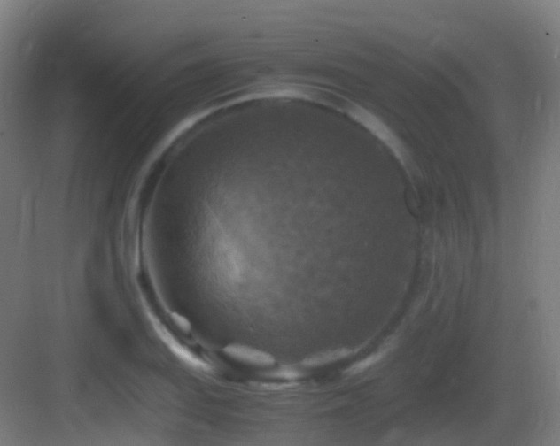 X0000083561127200702091117