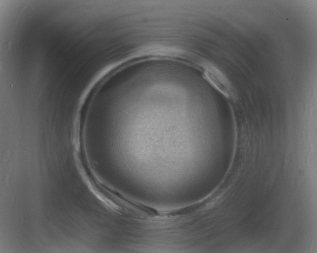 X0000083561128200702091117