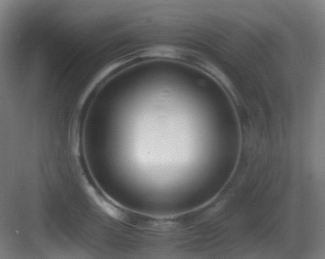 X0000083561131200702091117