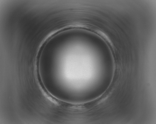 X0000083561133200702091118