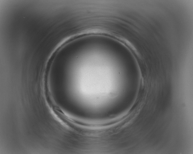 X0000083561134200702091118