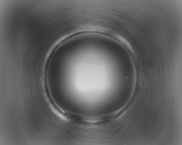 X0000083561136200702091118