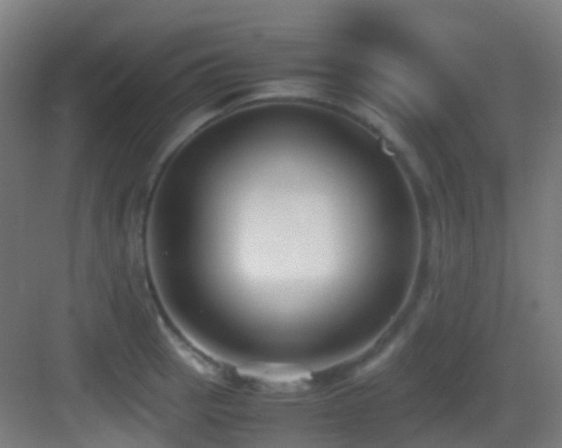 X0000083561137200702091118