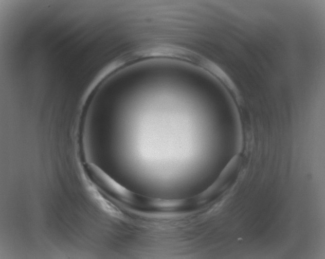 X0000083561138200702091118