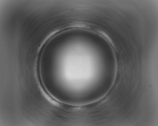 X0000083561139200702091118