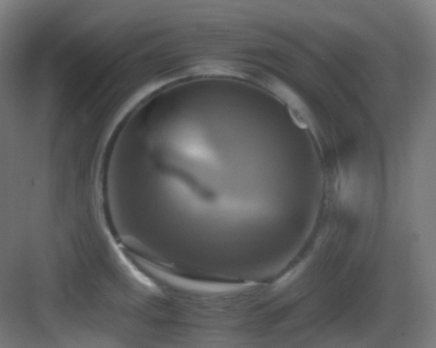 X0000083561141200702091118