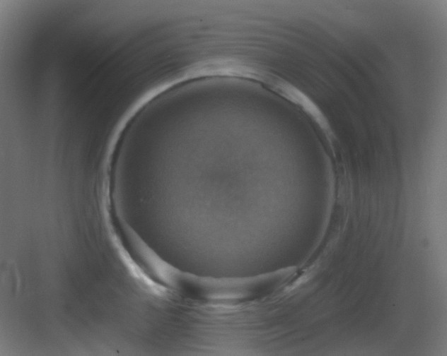X0000083561144200702091118