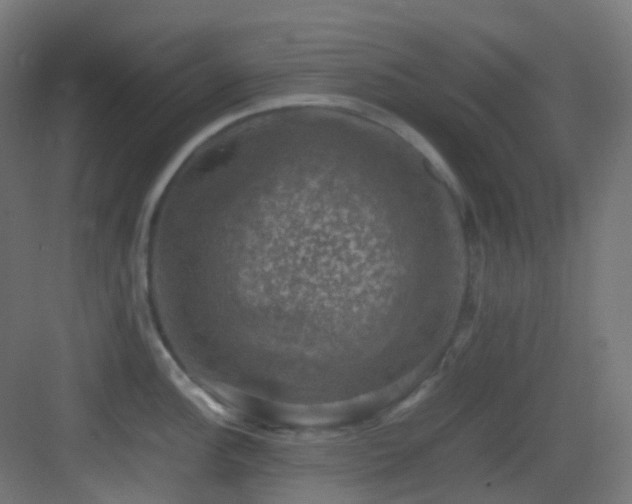 X0000083561148200702091118