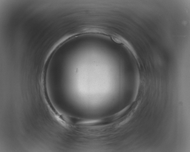 X0000083561149200702091118