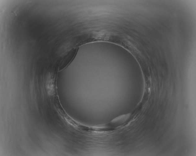X0000083561154200702091117