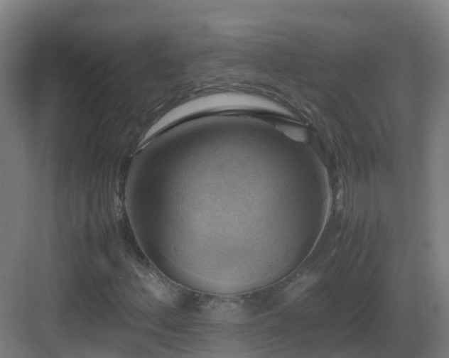 X0000083561156200702091117