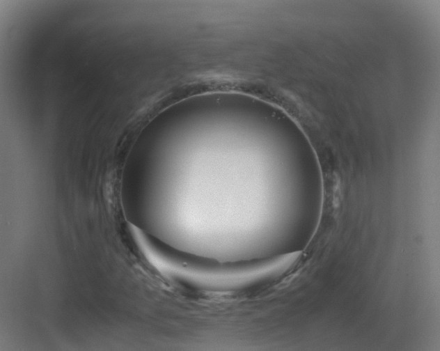 X0000083561157200702091117