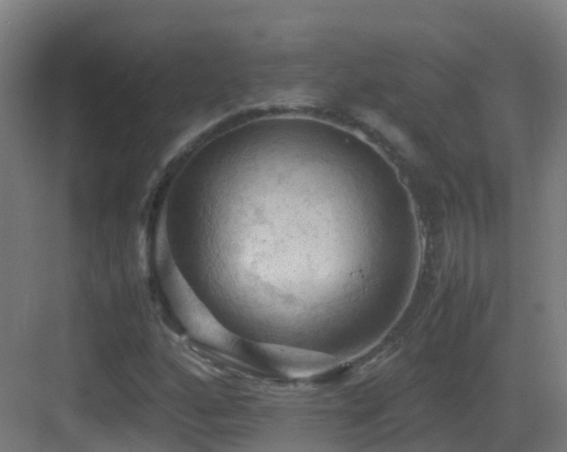 X0000083561160200702091117