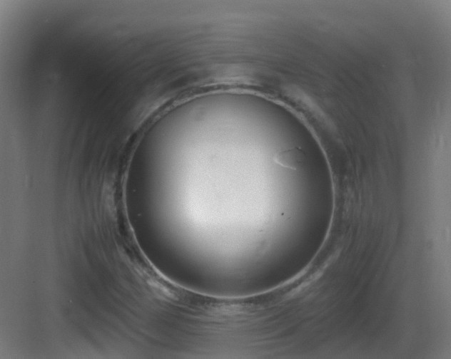 X0000083561162200702091117