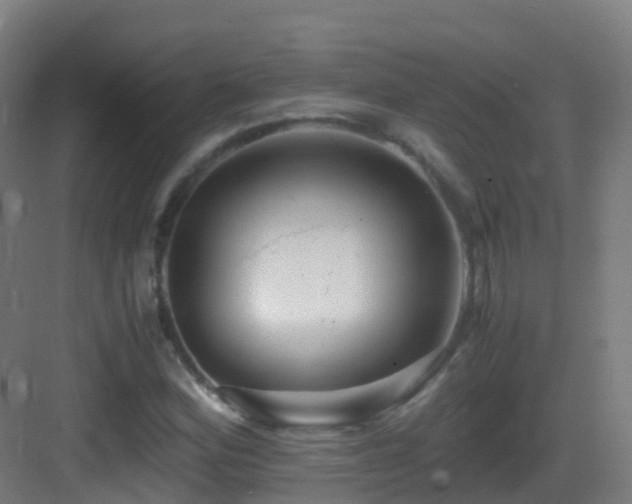 X0000083561164200702091117