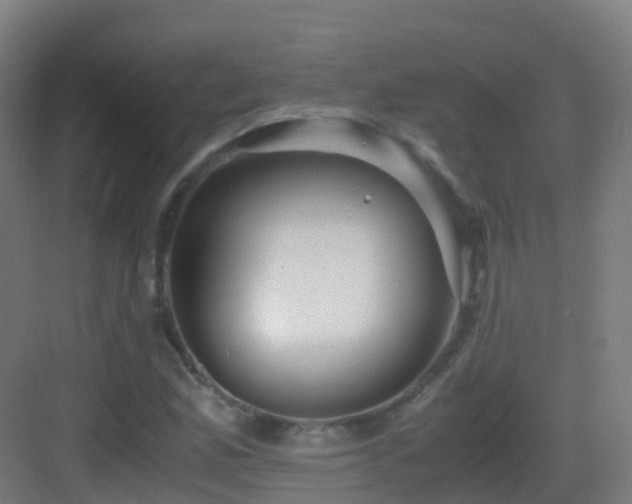X0000083561165200702091117