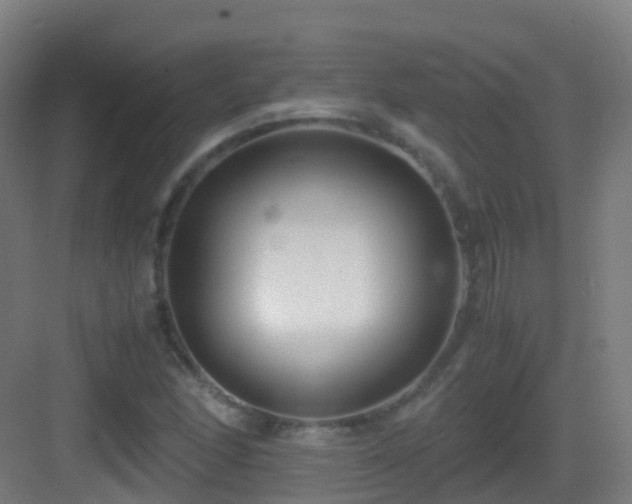 X0000083561166200702091117