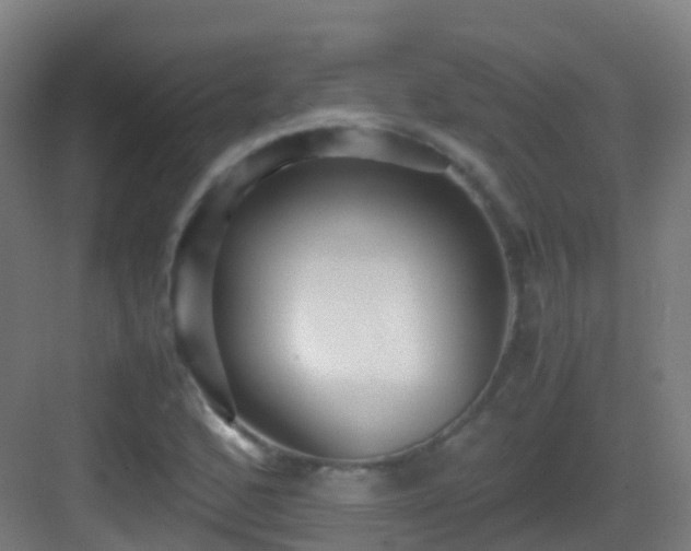 X0000083561168200702091117