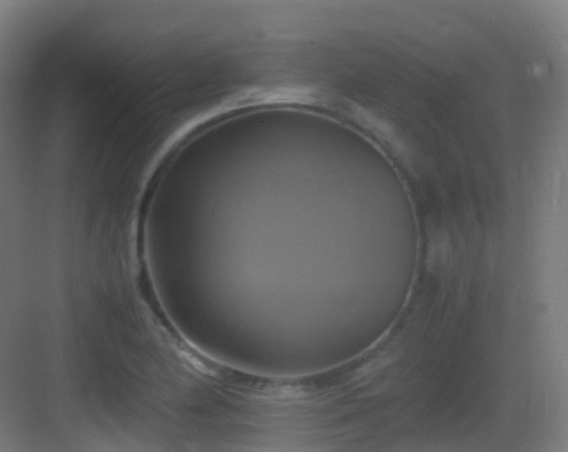 X0000083561174200702091117