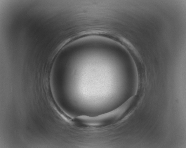 X0000083561177200702091117