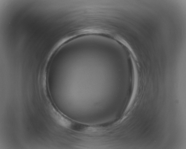 X0000083561179200702091117