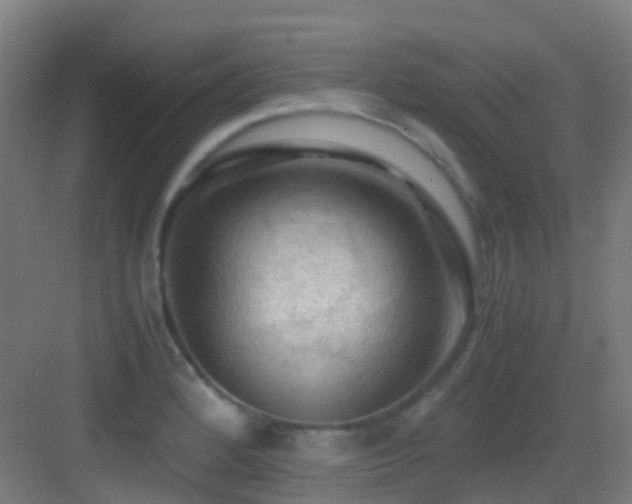 X0000083561184200702091117