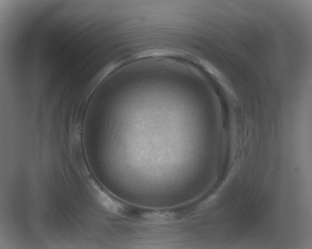 X0000083561185200702091116