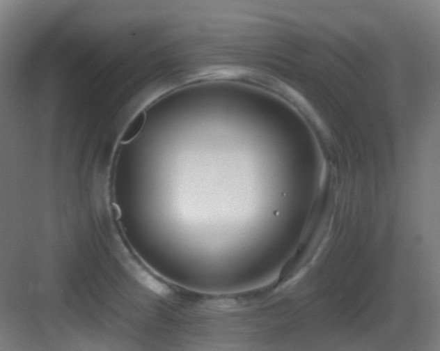 X0000083561186200702091116