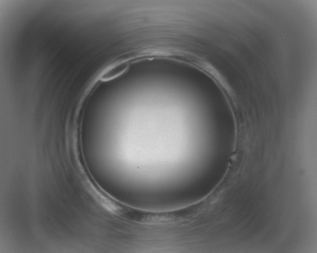 X0000083561187200702091116