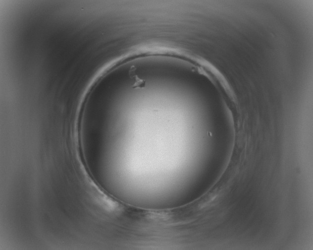 X0000083561191200702091116