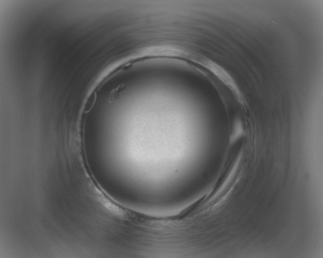 X0000083561192200702091116