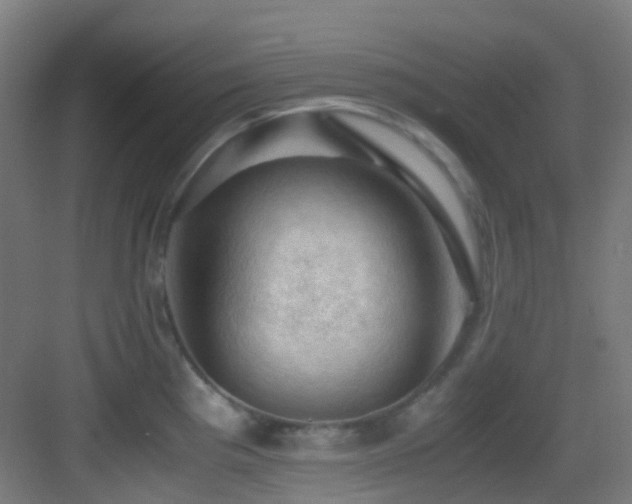 X0000083561193200702091116