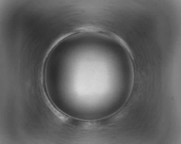 X0000083561195200702091116