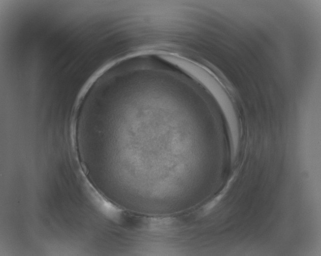 X0000083561196200702091116