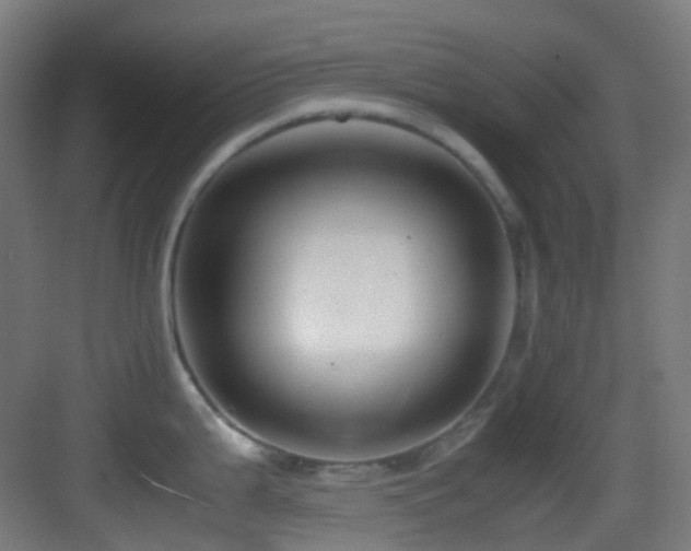 X0000083561199200702091116