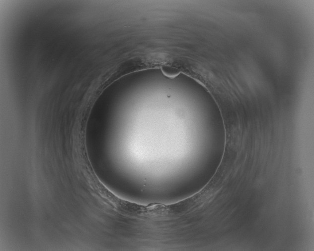 X0000083561201200702091115