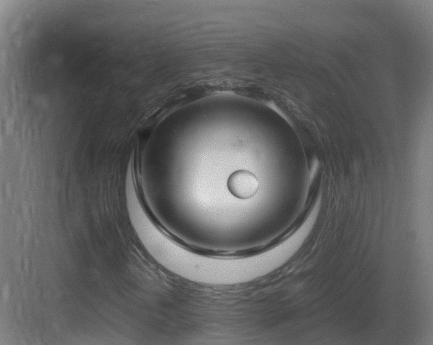 X0000083561202200702091115