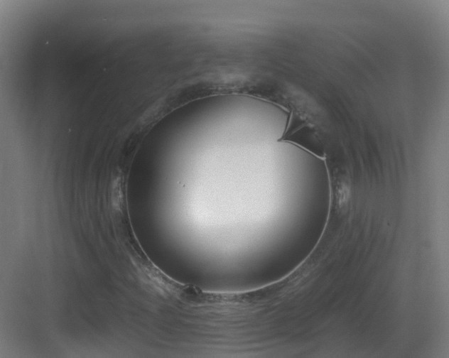 X0000083561204200702091115