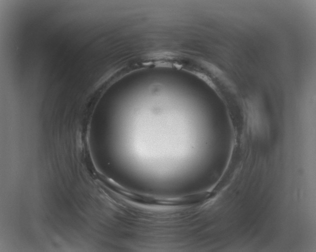 X0000083561209200702091116