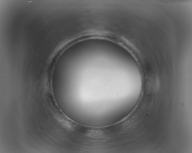 X0000083561215200702091116