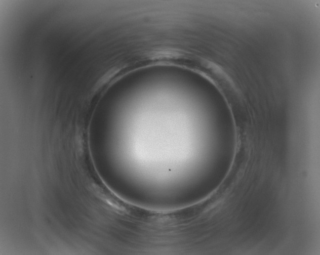 X0000083561217200702091116