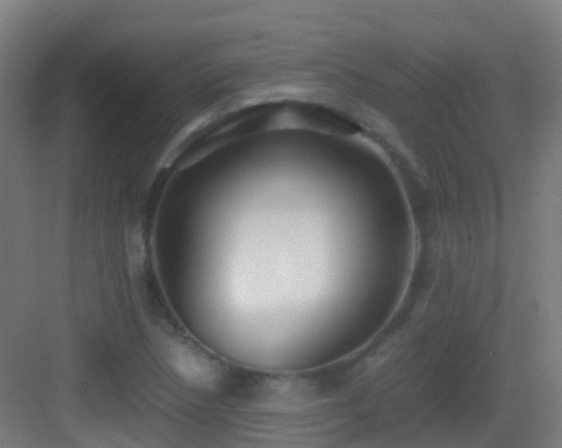 X0000083561218200702091116