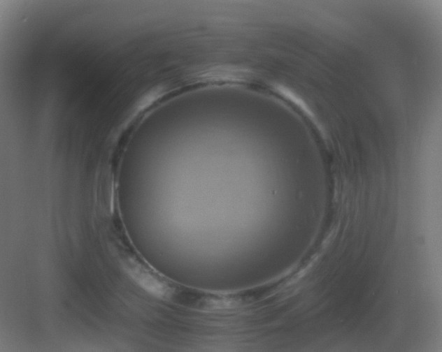 X0000083561219200702091116