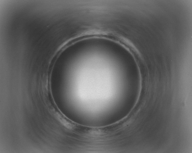 X0000083561220200702091116