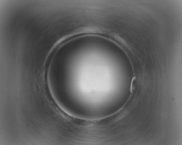 X0000083561222200702091116