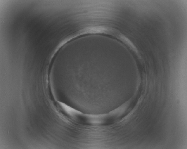 X0000083561226200702091116